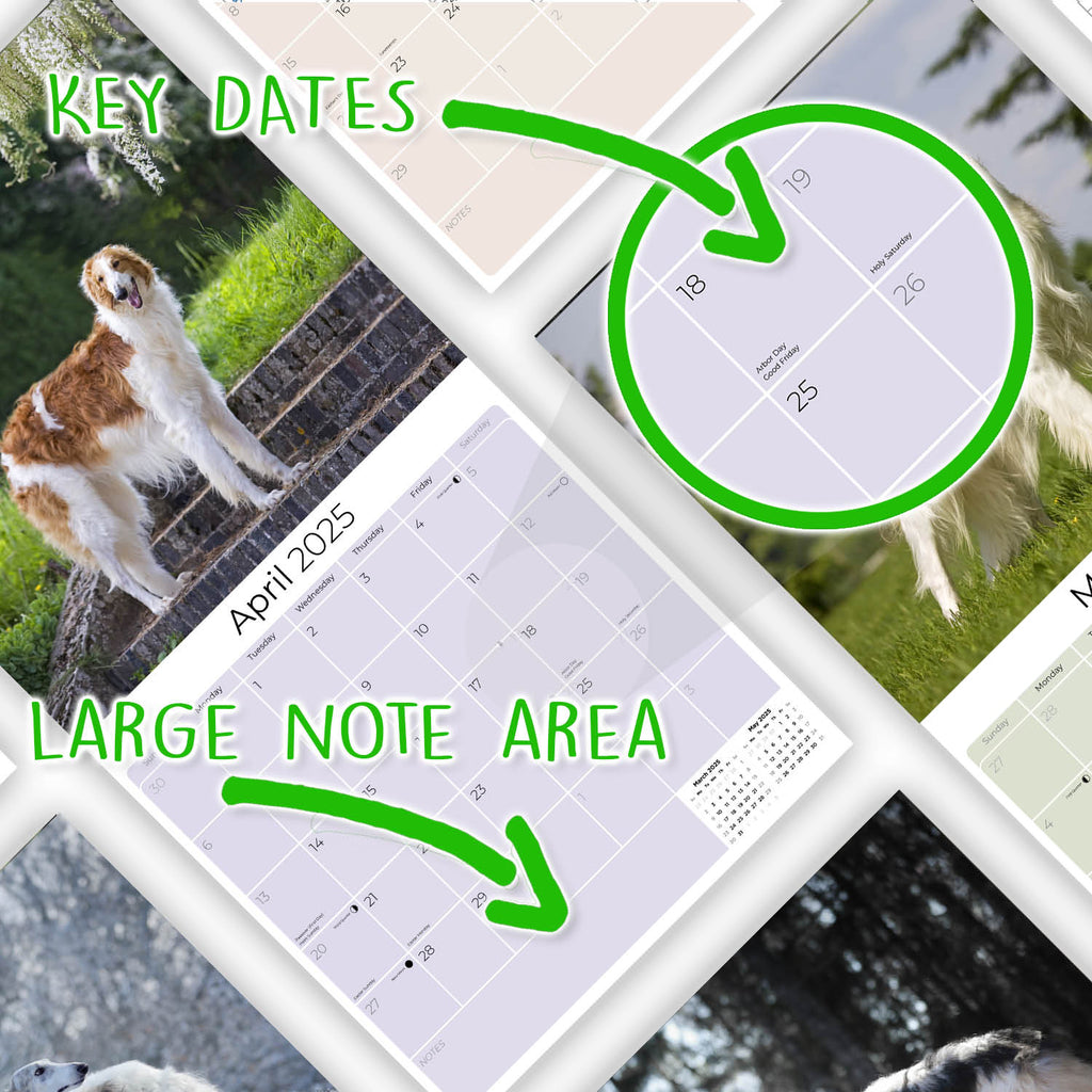Borzoi Wall Calendar 2025