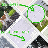 Borzoi Wall Calendar 2025