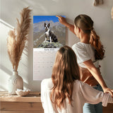 Boston Terrier Wall Calendar 2025