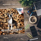 Boston Terrier Wall Calendar 2025