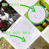 Boston Terrier Wall Calendar 2025