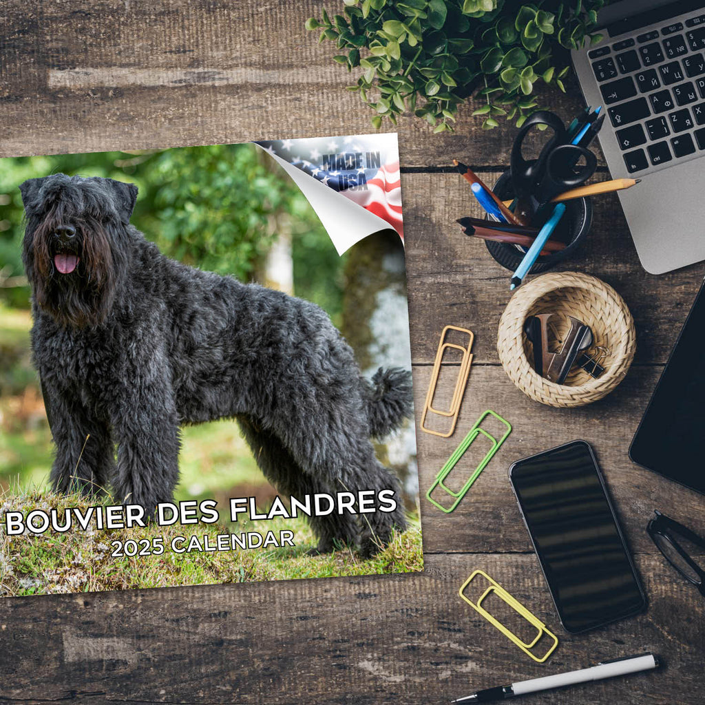 Bouvier de Flandres Calendar 2025