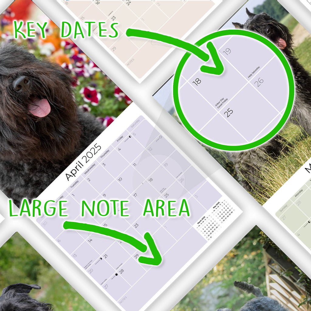 Bouvier de Flandres Calendar 2025