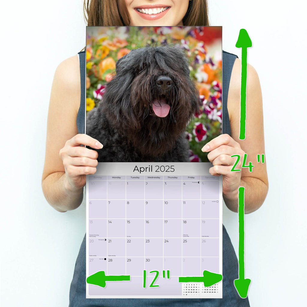Bouvier de Flandres Calendar 2025