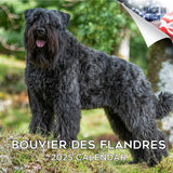 Bouvier de Flandres Calendar 2025