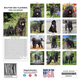 Bouvier de Flandres Calendar 2025