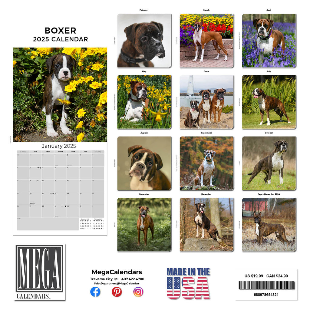 Boxer Wall Calendar 2025