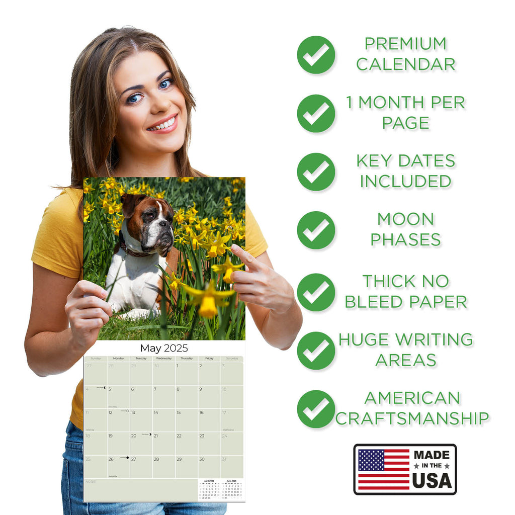 Boxer Wall Calendar 2025
