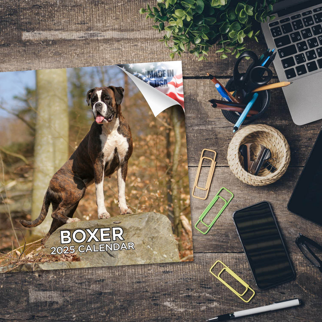 Boxer Wall Calendar 2025