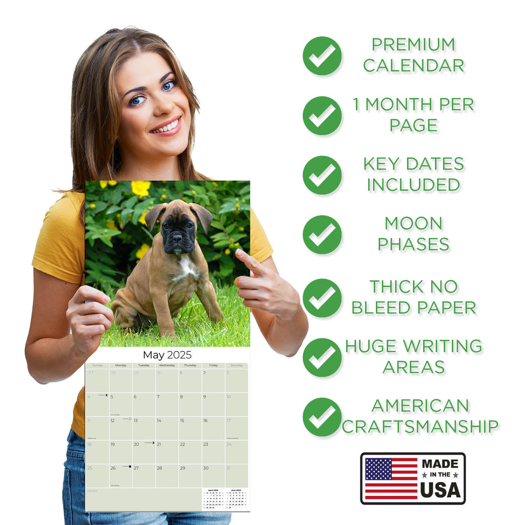 Boxer Puppies Wall Calendar 2025