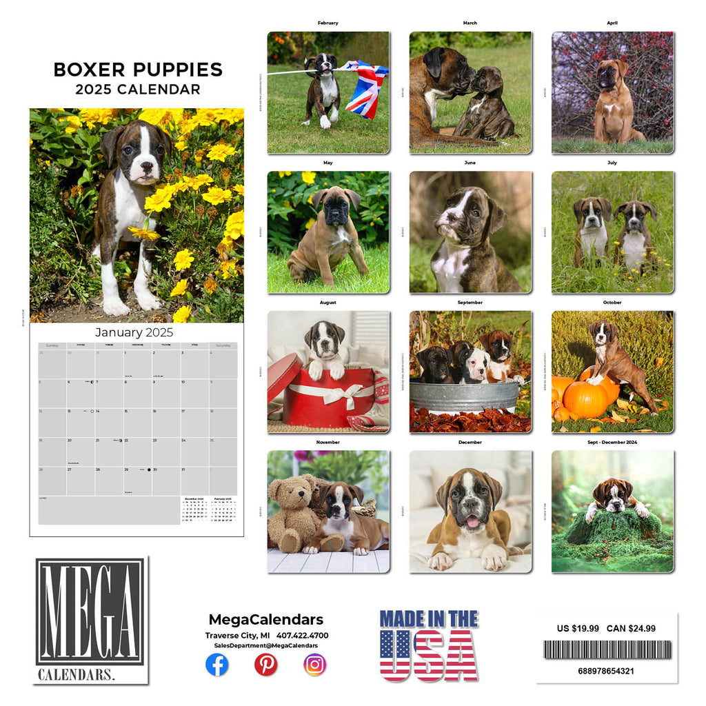 Boxer Puppies Wall Calendar 2025