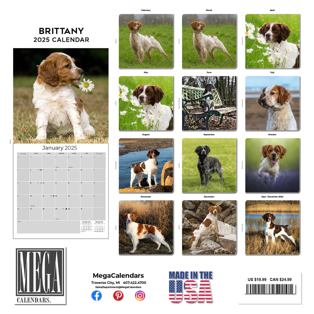 Brittany Wall Calendar 2025