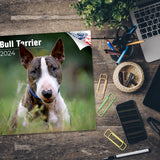 Bull Terrier Wall Calendar 2024