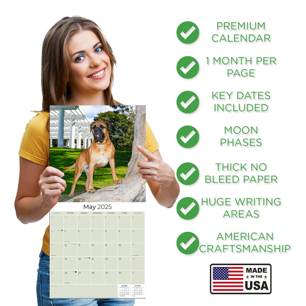 Bull Mastiff Calendar 2025