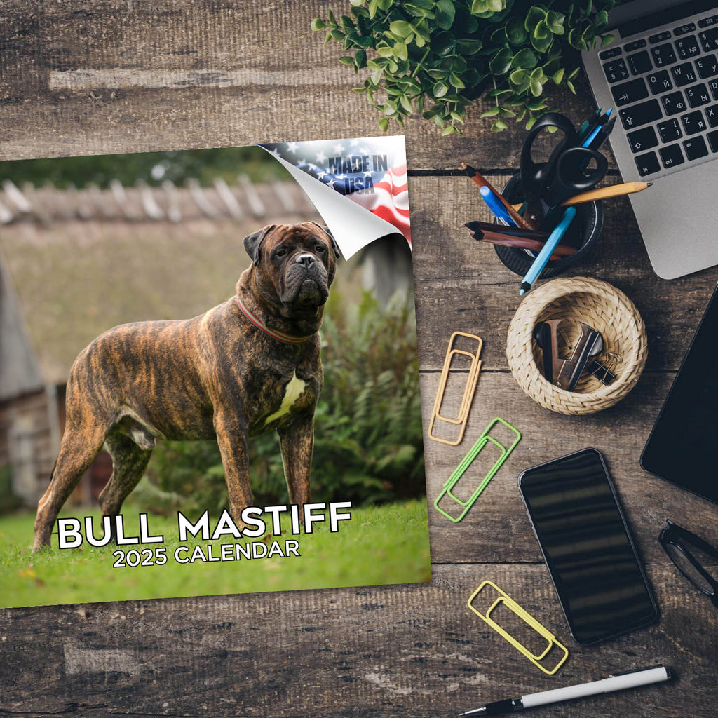 Bull Mastiff Calendar 2025