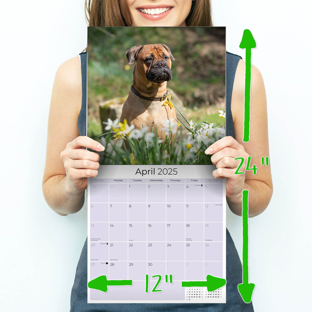 Bull Mastiff Calendar 2025