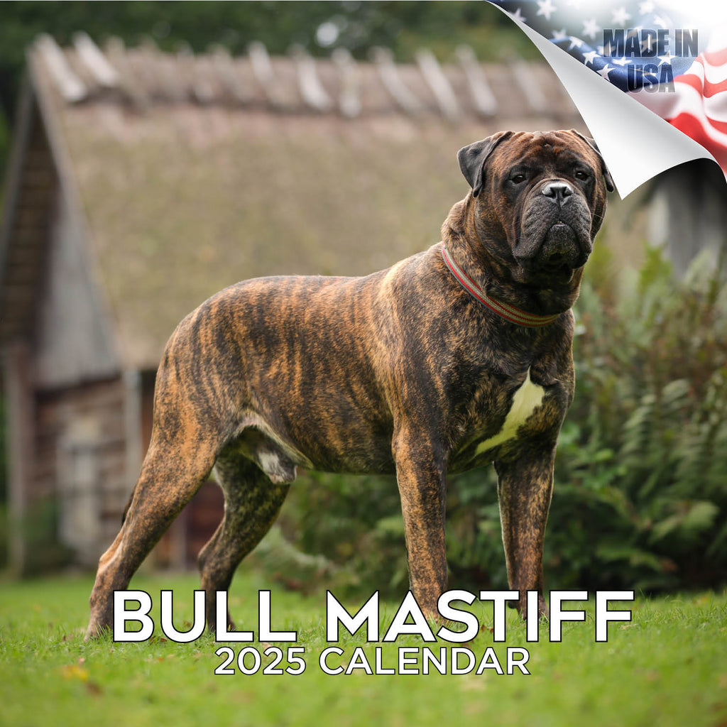 Bull Mastiff Calendar 2025