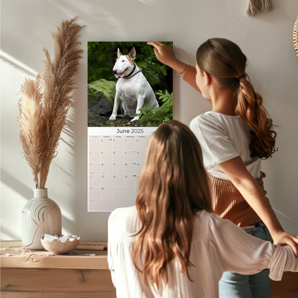 Bull Terrier Wall Calendar 2025