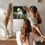 Bull Terrier Wall Calendar 2025