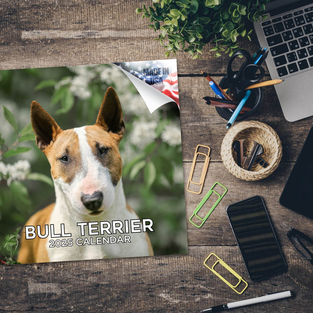 Bull Terrier Wall Calendar 2025