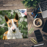 Bull Terrier Wall Calendar 2025