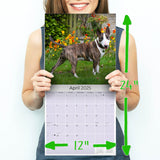 Bull Terrier Wall Calendar 2025