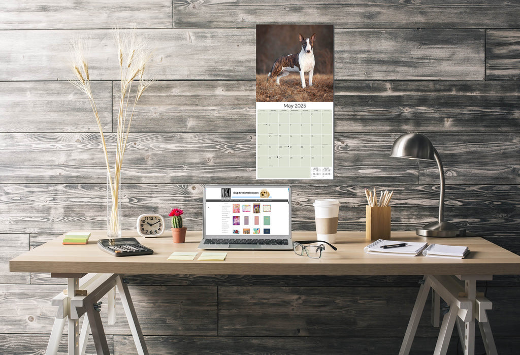 Bull Terrier Wall Calendar 2025