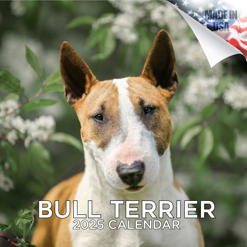 Bull Terrier Wall Calendar 2025