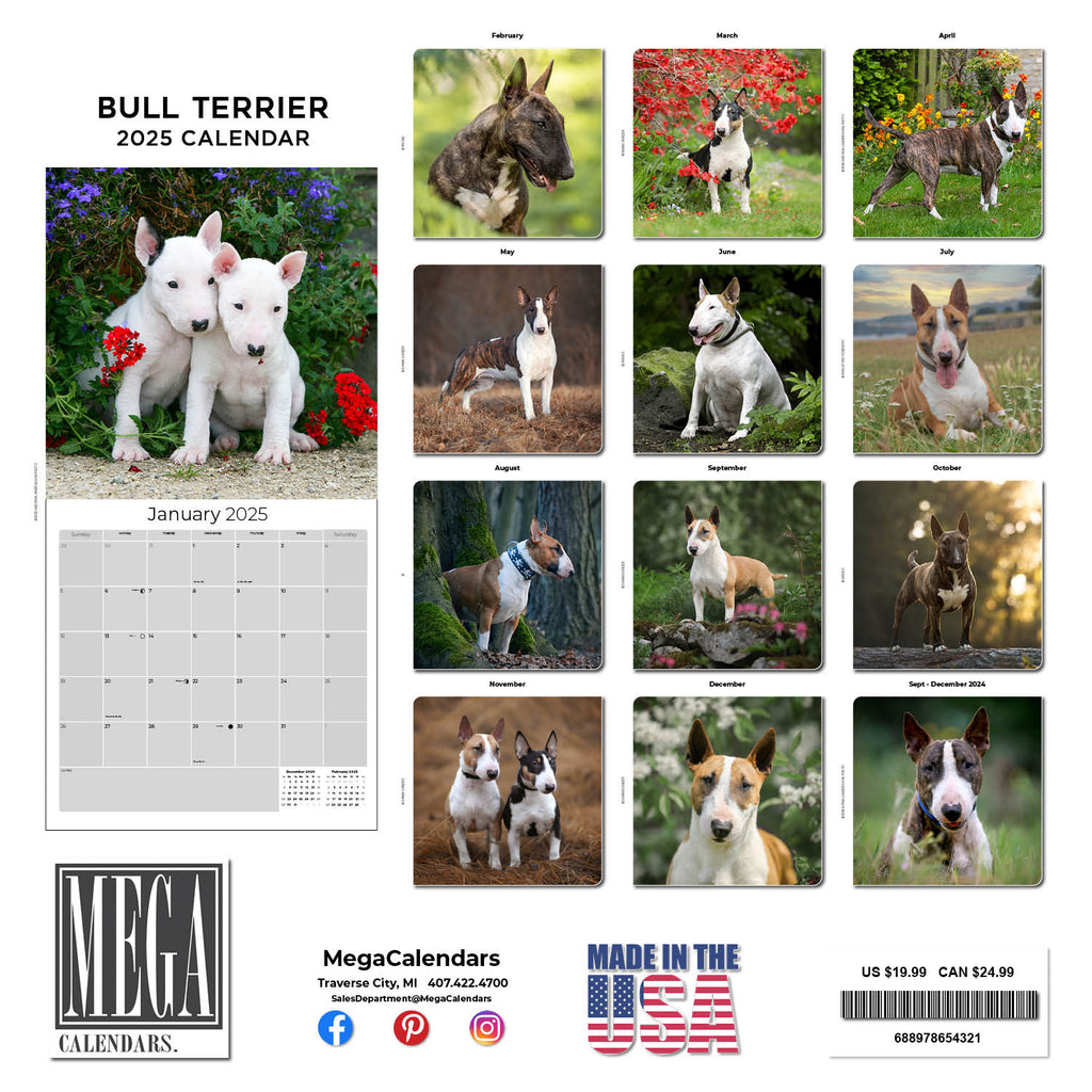 Bull Terrier Wall Calendar 2025