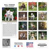 Bull Terrier Wall Calendar 2025