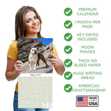 Bulldog Wall Calendar 2025
