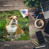 Bulldog Wall Calendar 2025