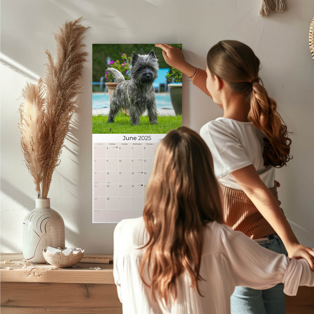 Cairn Terrier Wall Calendar 2025
