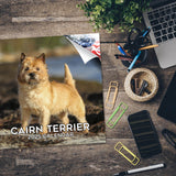 Cairn Terrier Wall Calendar 2025
