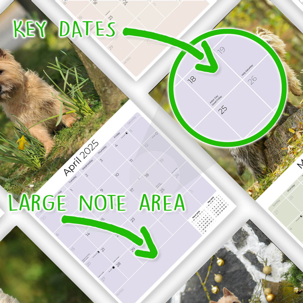Cairn Terrier Wall Calendar 2025