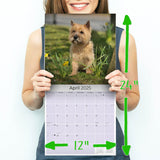 Cairn Terrier Wall Calendar 2025