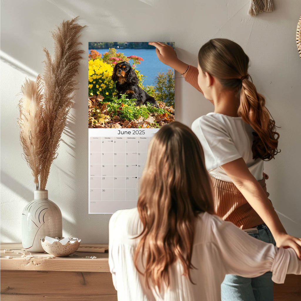 Cavalier King Charles Wall Calendar 2025