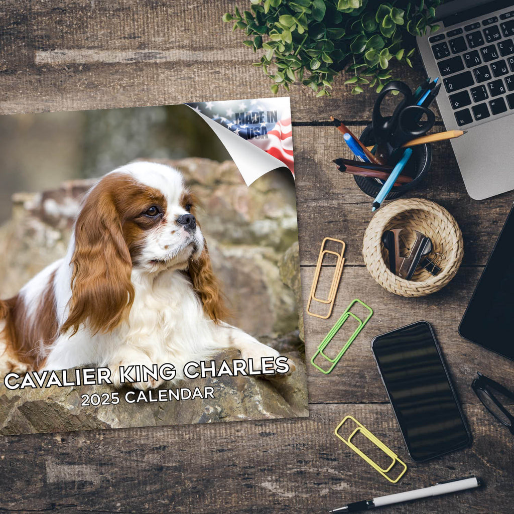 Cavalier King Charles Wall Calendar 2025
