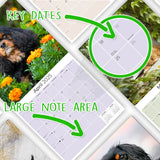 Cavalier King Charles Wall Calendar 2025