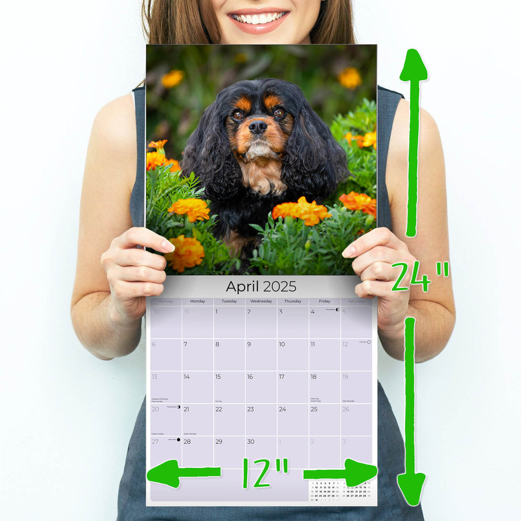 Cavalier King Charles Wall Calendar 2025