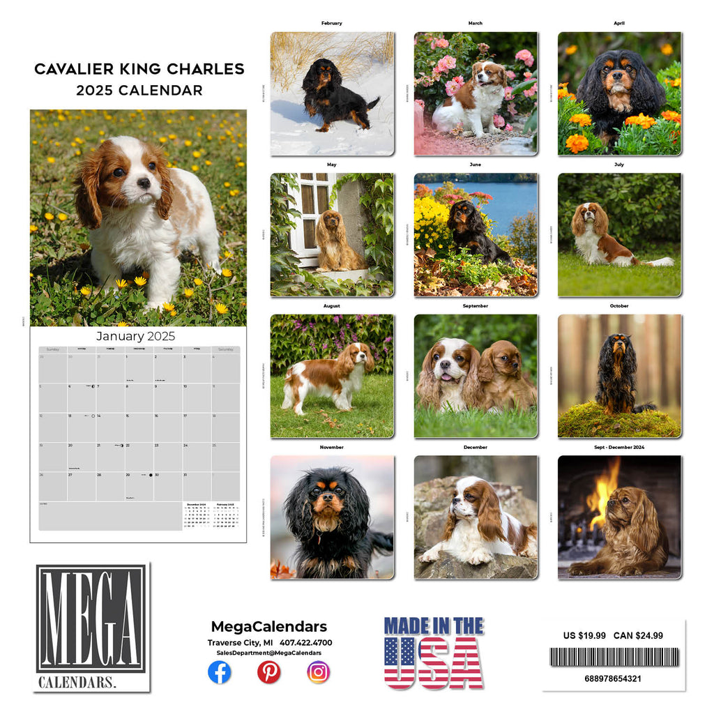 Cavalier King Charles Wall Calendar 2025