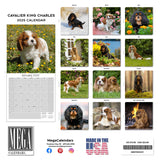 Cavalier King Charles Wall Calendar 2025