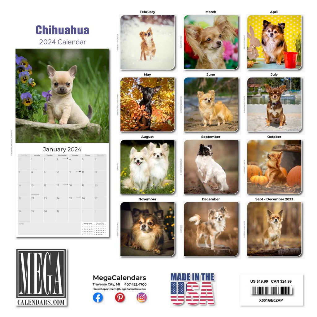 Chihuahua Wall Calendar 2024