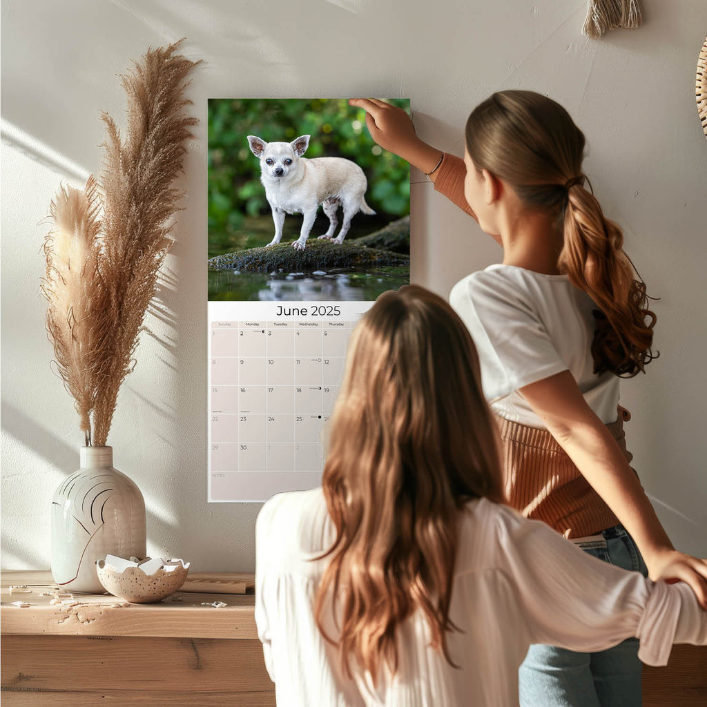 Chihuahua Wall Calendar 2025