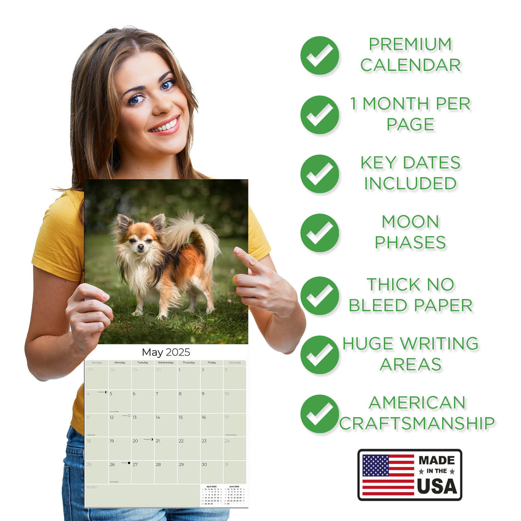Chihuahua Wall Calendar 2025
