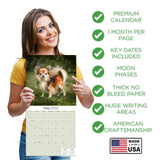 Chihuahua Wall Calendar 2025