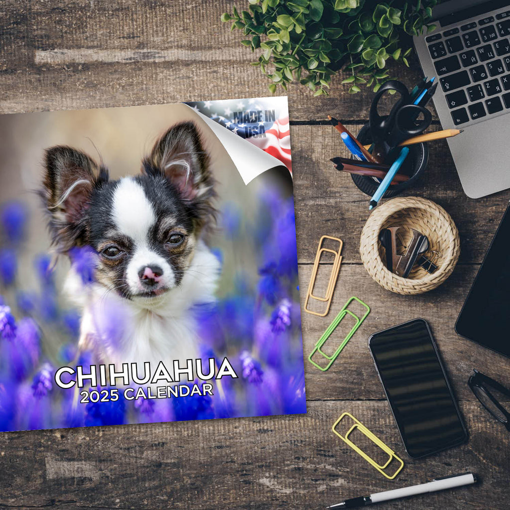 Chihuahua Wall Calendar 2025