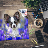Chihuahua Wall Calendar 2025