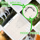 Chihuahua Wall Calendar 2025