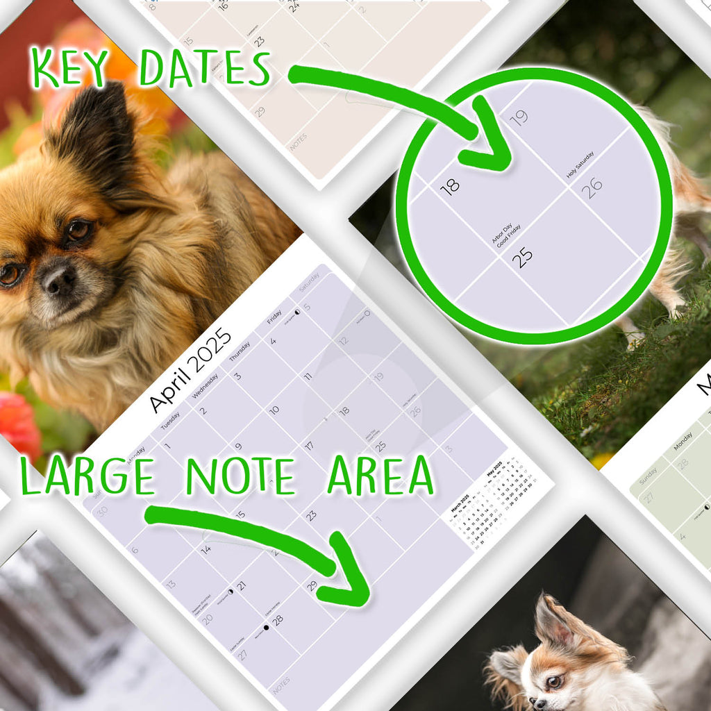 Chihuahua Wall Calendar 2025